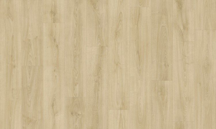 Charisma - Sesame Oak